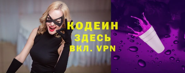 a pvp Инсар