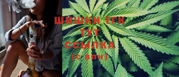 a pvp Инсар