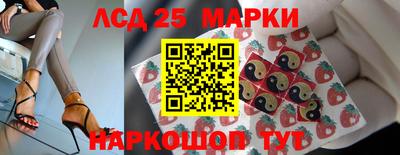 гидропоника Бердск