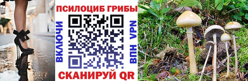Галлюциногенные грибы мицелий  купить наркотики сайты  Истра 