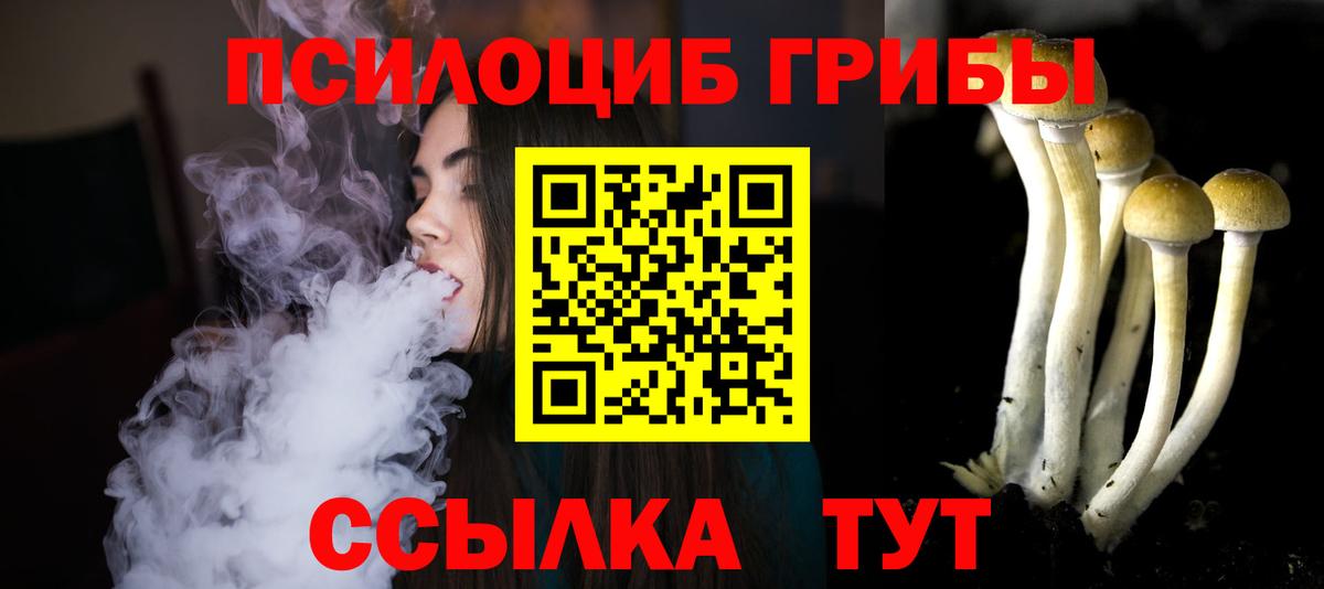 Псилоцибиновые грибы GOLDEN TEACHER Истра